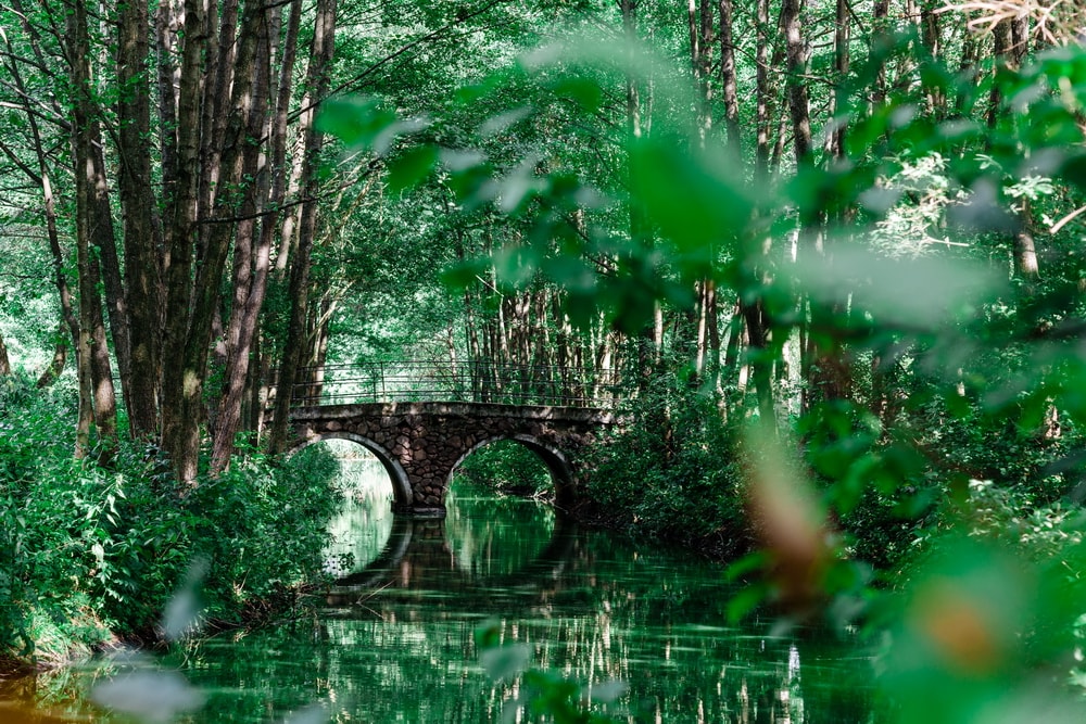 Красивый мост из камня в парке Дрозды Минск.