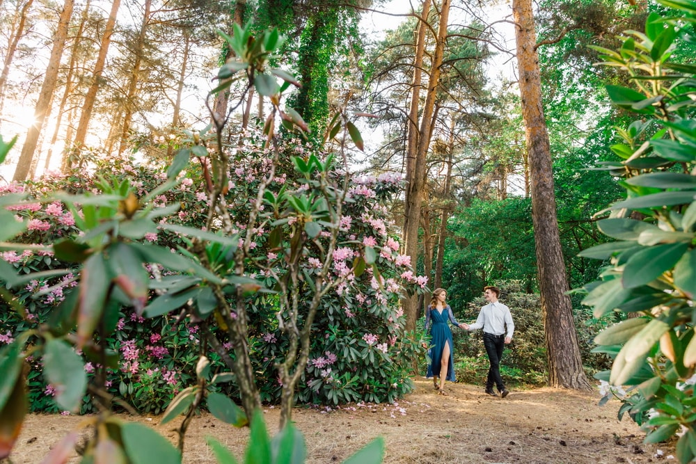 фотосессия Love Story в ботаническом саду Минск