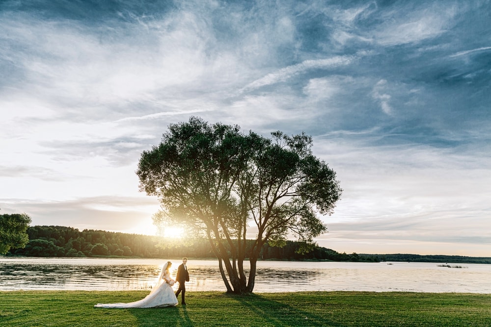 Свадебная фотосессия на закате с деревом.