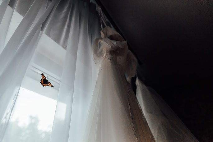 Бабочка на шторе рядом со свадебным платьем.